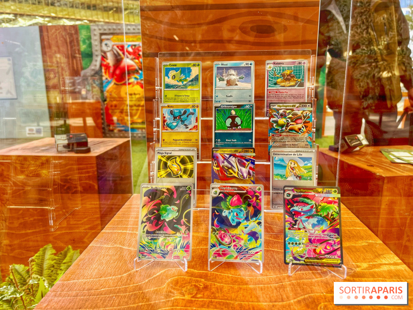 Pop-up Pokémon - IMG 6806