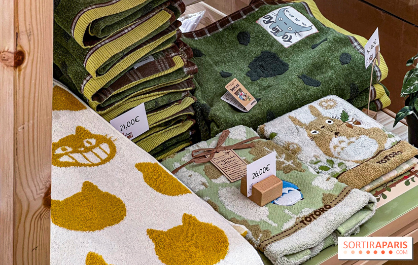 Maison Ghibli : le pop-up store officiel du studio d'animation japonais à Paris - 65D0C4F7 73F5 403A B3B5 69338284C1E0