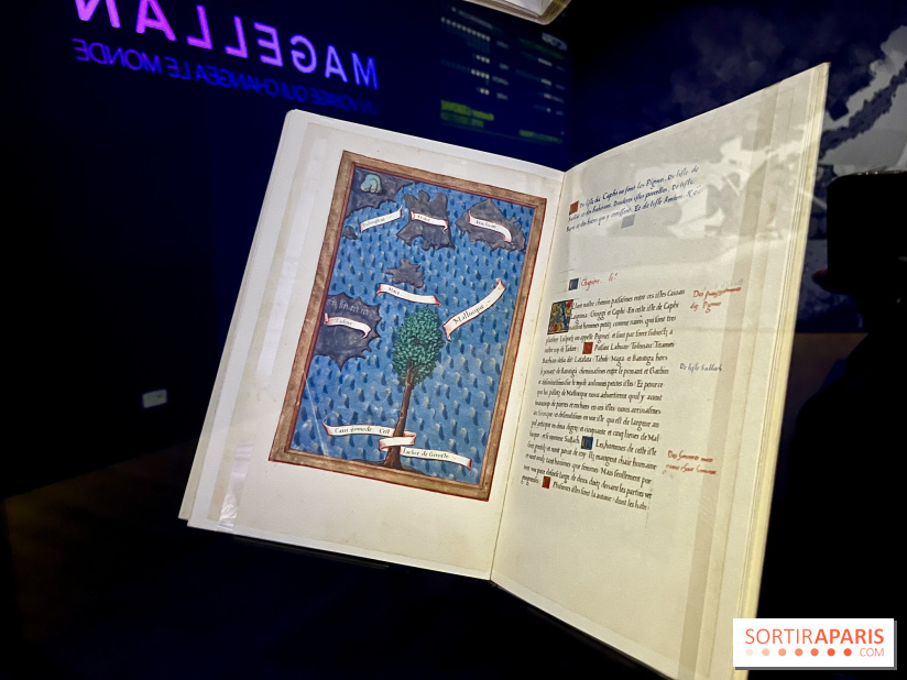 Dans le sillage de Magellan - IMG 6904