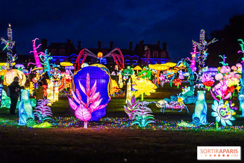 Thoiry Lumières Sauvages 2025 : le Bal des Esprits - A7C09505