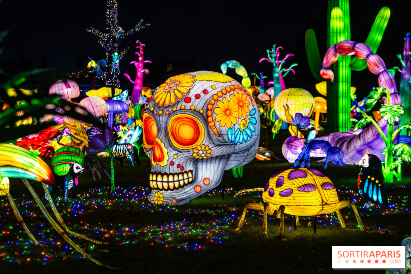 Thoiry Lumières Sauvages 2025 : le Bal des Esprits - A7C09511