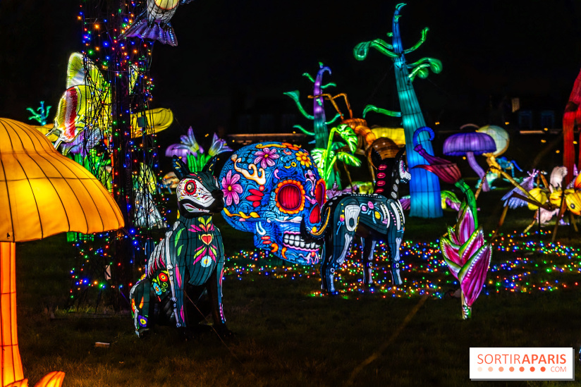 Thoiry Lumières Sauvages 2025 : le Bal des Esprits - A7C09523