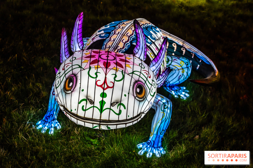 Thoiry Lumières Sauvages 2025 : le Bal des Esprits - A7C09526