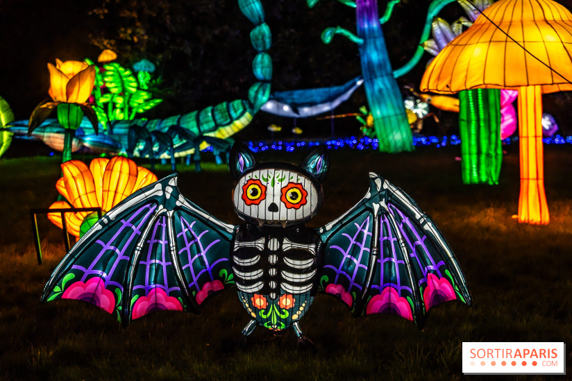 Thoiry Lumières Sauvages 2025 : le Bal des Esprits - A7C09527