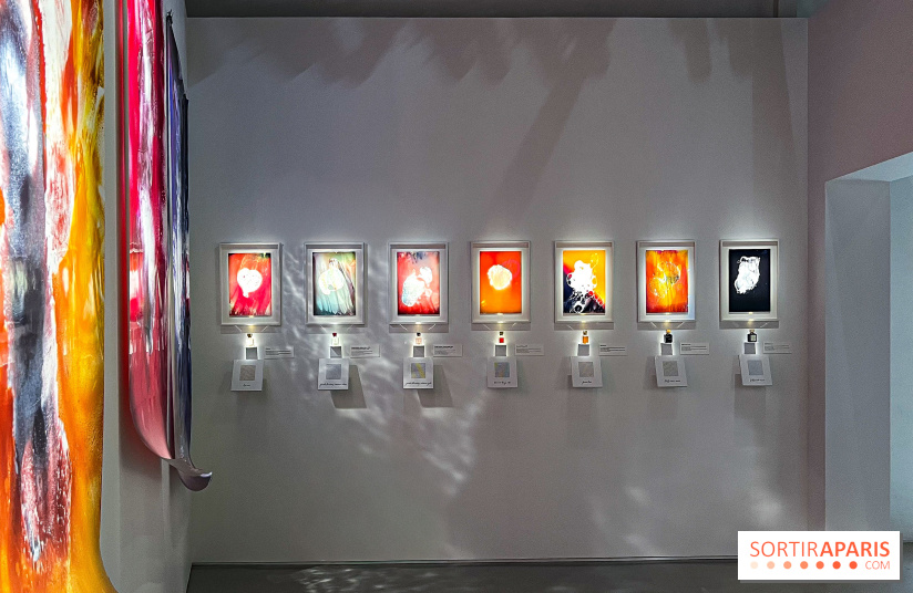 Parfum, sculpture de l'invisible : l'exposition retrospective évènement de Francis Kurkdjian à Paris - IMG 1508 jpg