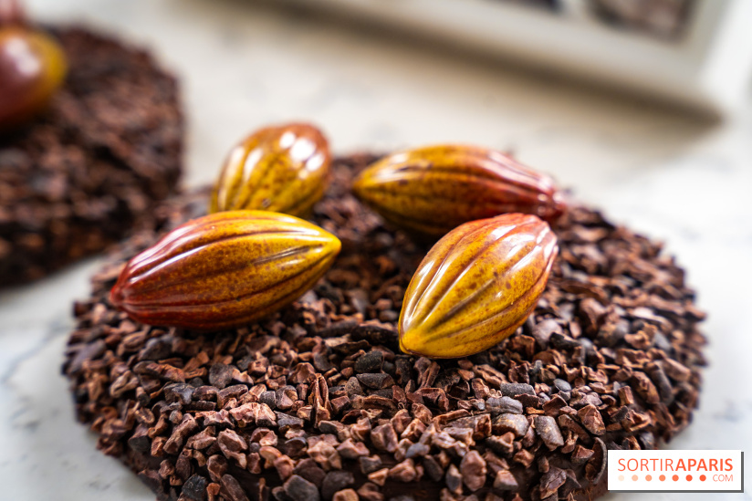 Les Bûches de Noël de Pleincœur par Maxime Frédéric 2025 et ses créations de fêtes - A7C07681