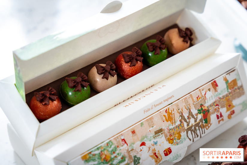 Les Bûches de Noël de Pleincœur par Maxime Frédéric 2025 et ses créations de fêtes - A7C07685