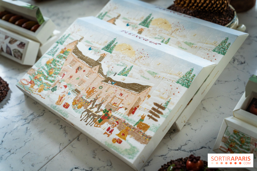 Les Bûches de Noël de Pleincœur par Maxime Frédéric 2025 et ses créations de fêtes - A7C07700