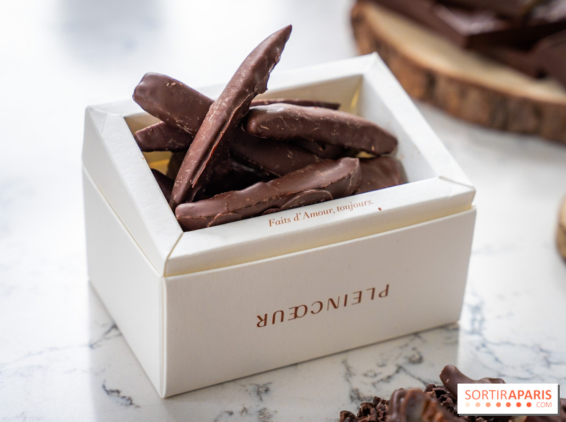 Les Bûches de Noël de Pleincœur par Maxime Frédéric 2025 et ses créations de fêtes - A7C07674