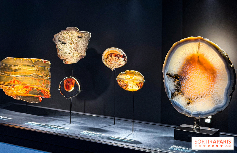 Rêveries de pierres : l'exposition rétrospective gratuite à l'Ecole des Arts Joailliers