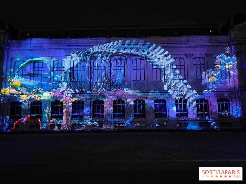 En voie d'illumination : Lumières de la nature : le festival nocturne hivernal du Jardin des Plantes - fotor 1762431492963