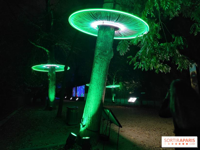 En voie d'illumination : Lumières de la nature : le festival nocturne hivernal du Jardin des Plantes - fotor 1762431293928