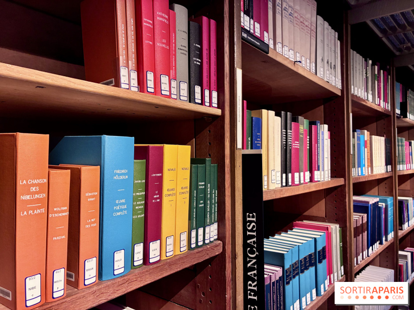 Mazarin et les gardiens du secret - IMG 0285