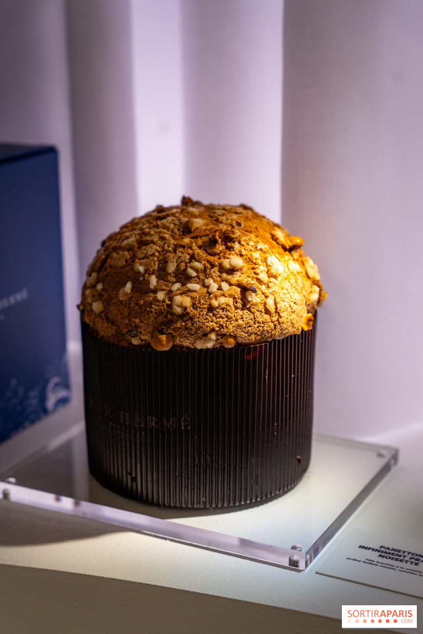 Bûches de Noël et créations de fête 2025 de Pierre Hermé : les Abysses - A7C07859