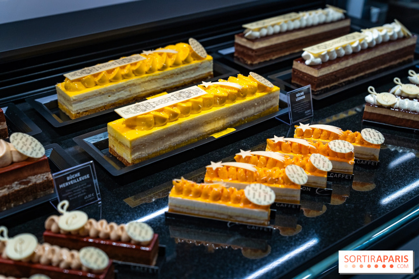 Bûches de Noël de Pascal Caffet 2025 et créations de fête - A7C08605