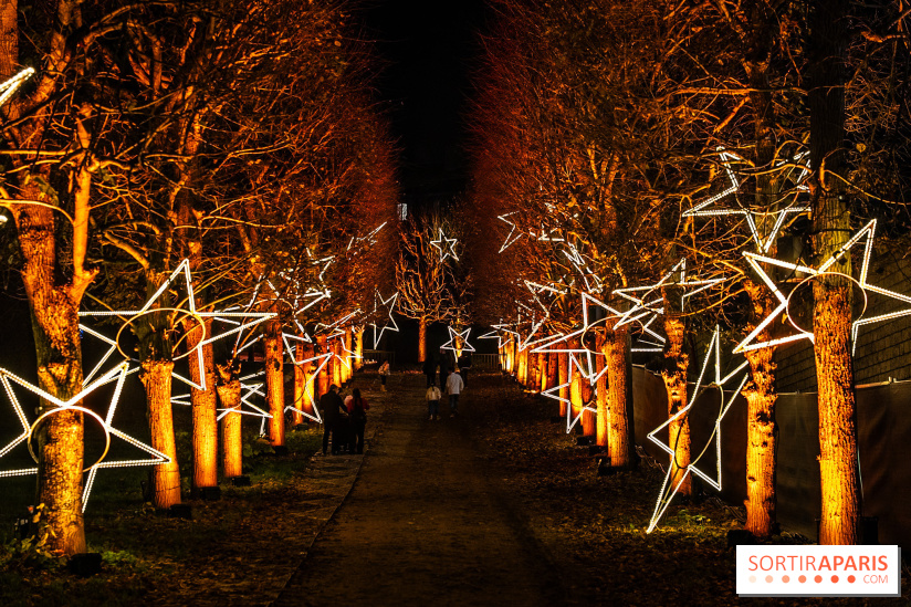 Lumières en Seine 2025, les photos du parcours de lumières - A7C00359