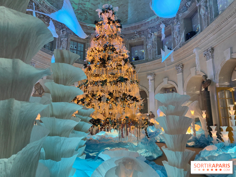 Le Grand Noël 2025 du château de Vaux-le-Vicomte : des décorations magiques pour une balade hivernale mémorable - fotor 1763143732951