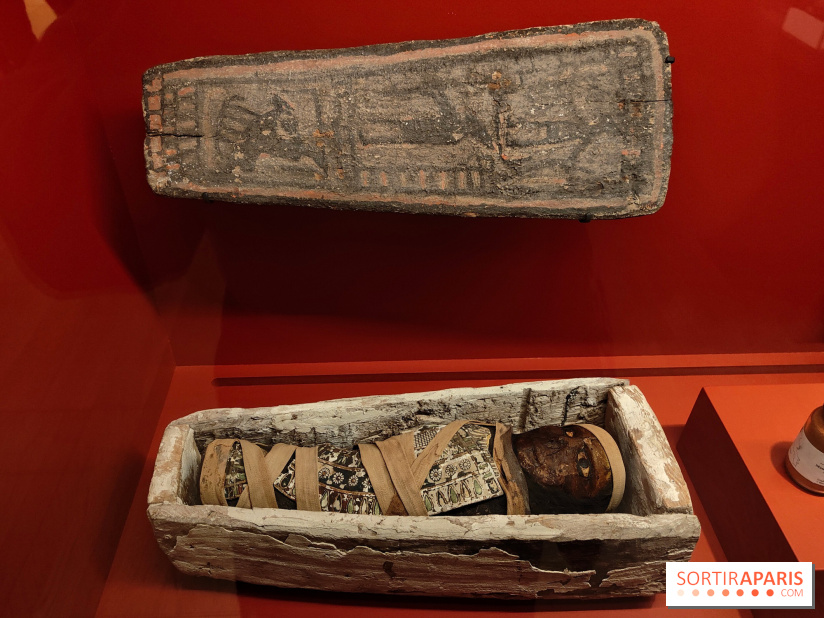 Momies : une exposition insolite et troublante à découvrir au musée de l'Homme - fotor 1763471602237