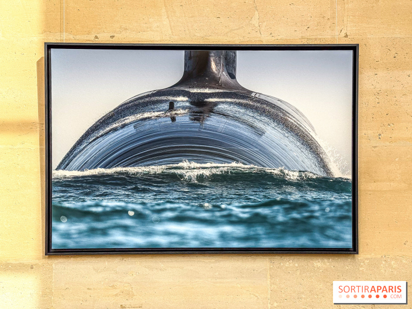 Les Peintres de la Marine : l’exposition dédiée à l’univers maritime à l’Espace Richaud à Versailles - IMG 1865