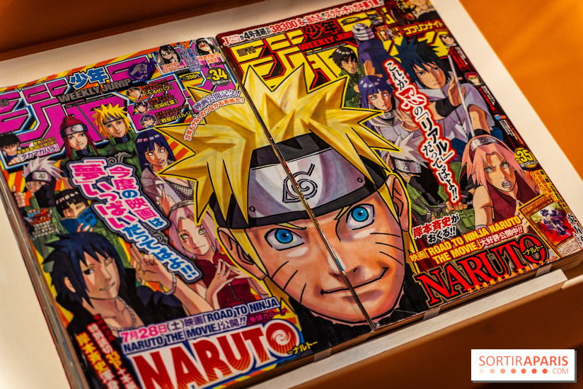 Exposition Manga au Musée Guimet, les photos  - A7C01227