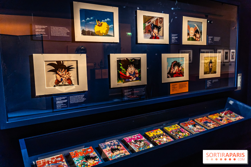 Exposition Manga au Musée Guimet, les photos  - A7C01236