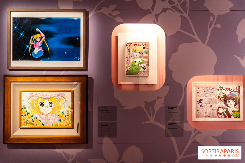 Exposition Manga au Musée Guimet, les photos  - A7C01251