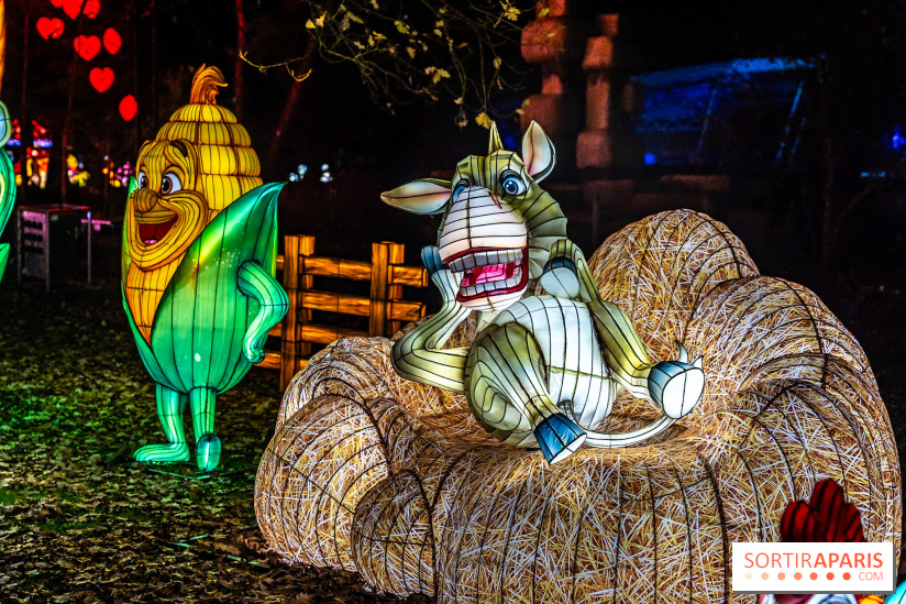 L'Odyssée Lumineuse au Parc Floral 2025, les photos
