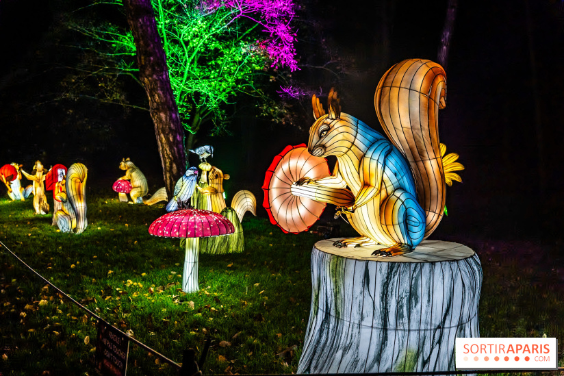 L'Odyssée Lumineuse au Parc Floral 2025, les photos