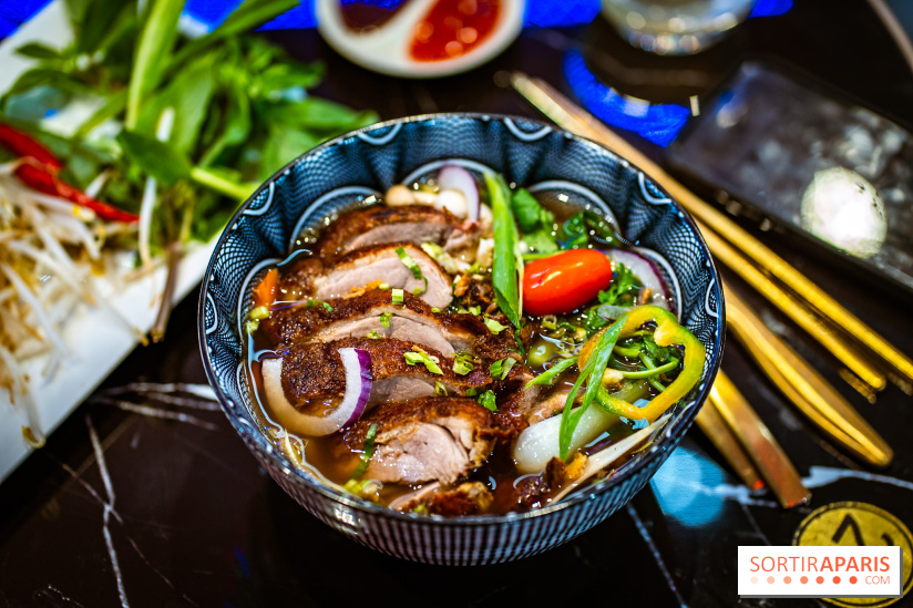 Amour du Vietnam, le restaurant Vietnamien Paris 14e - A7C01594