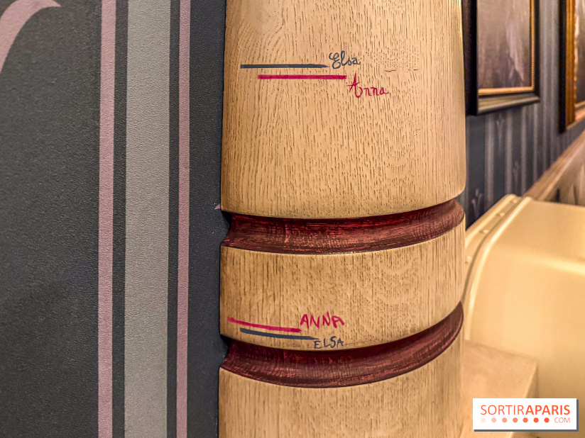 World of Frozen - Rencontre Royale détail Anna Elsa