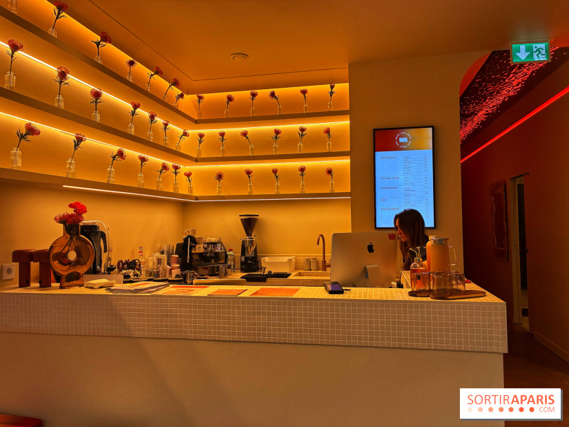 Brume Studio - IMG 1181