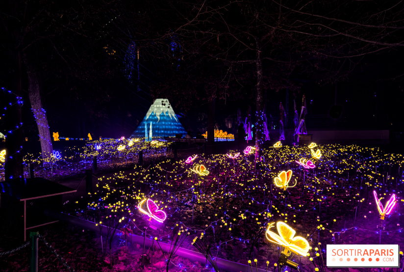 Le Japon en Lumières : le parcours lumineux et festival des lanternes 2025 du Jardin d'Acclimatation - IMG 4966