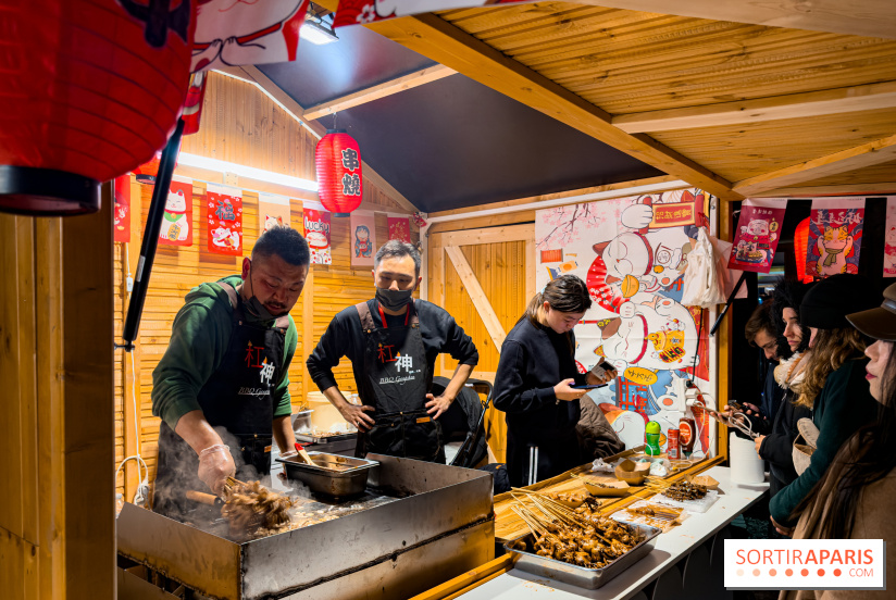 Le Japon en Lumières : le parcours lumineux et festival des lanternes 2025 du Jardin d'Acclimatation - IMG 5036