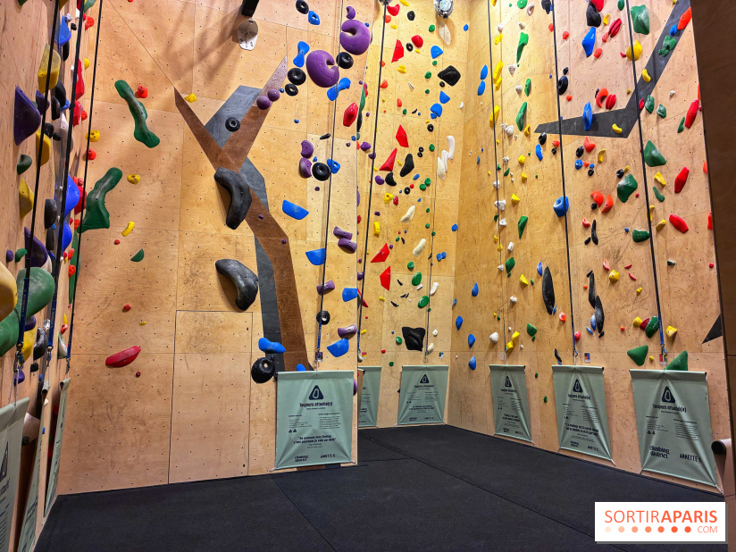 Annette K. Montparnasse - IMG 1849