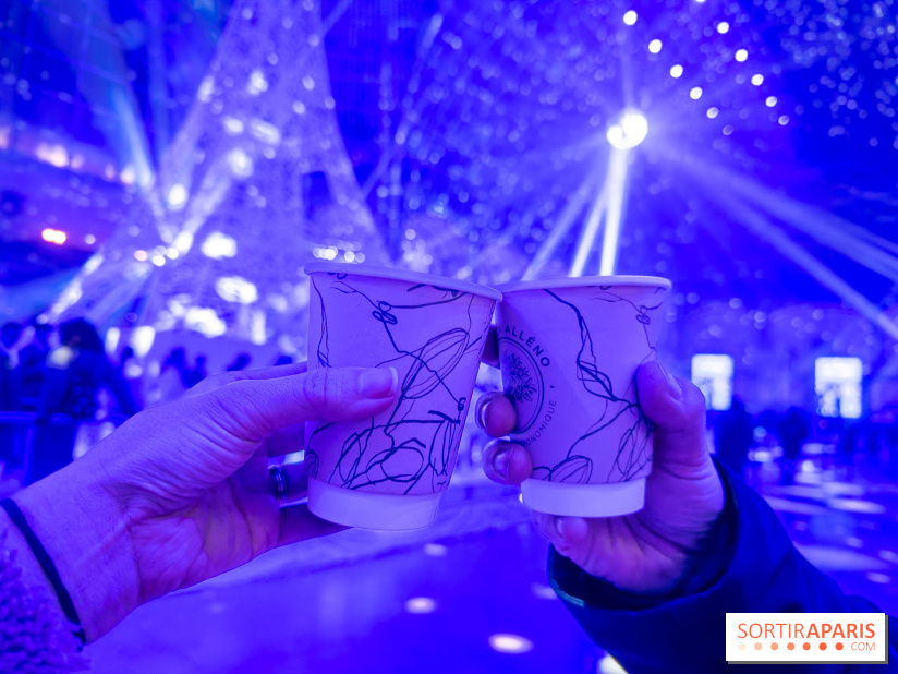 Le Grand Palais des Glaces 2025 - les photos - IMG 8111