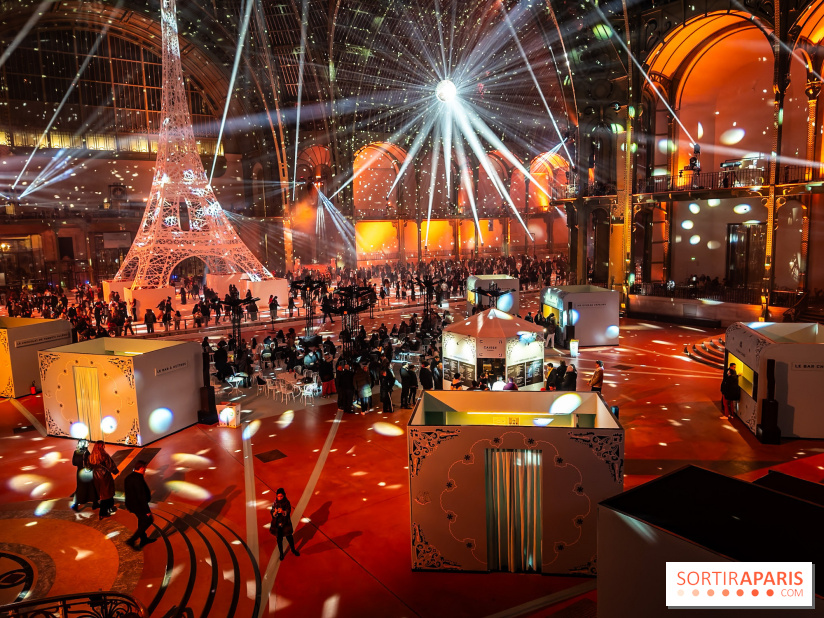 Le Grand Palais des Glaces 2025 - les photos - IMG 8118