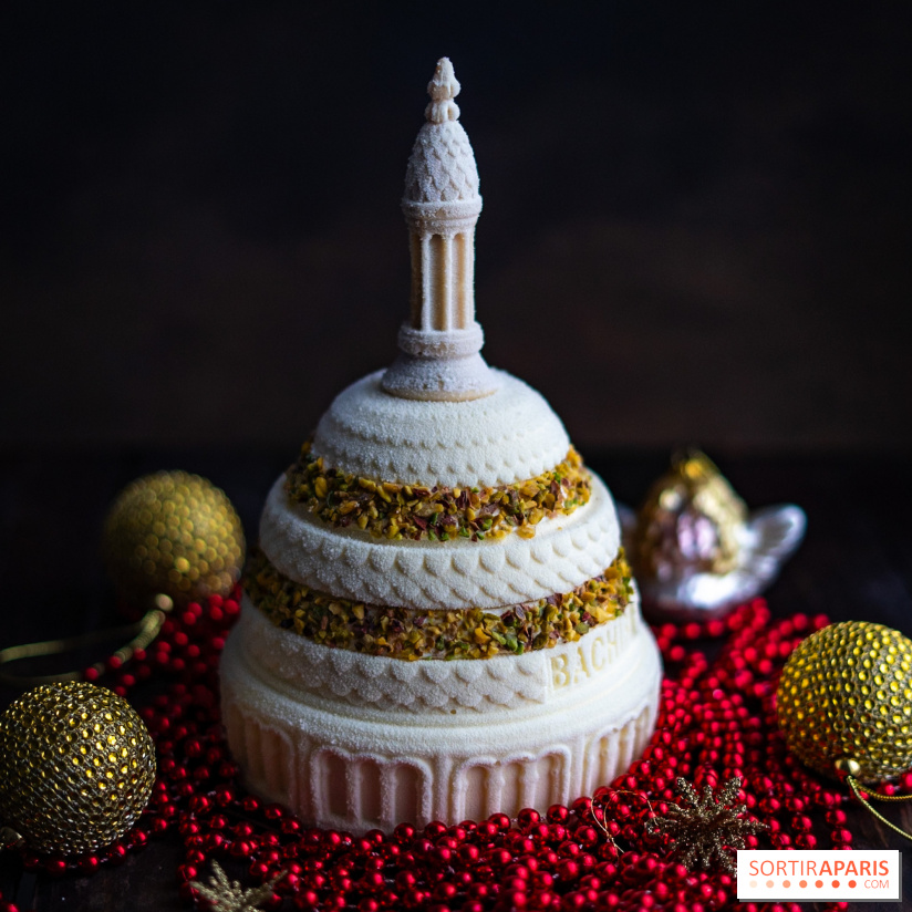 Les bûches de Noël glacées de Bachir spécial dômes parisiens  - A7C03408