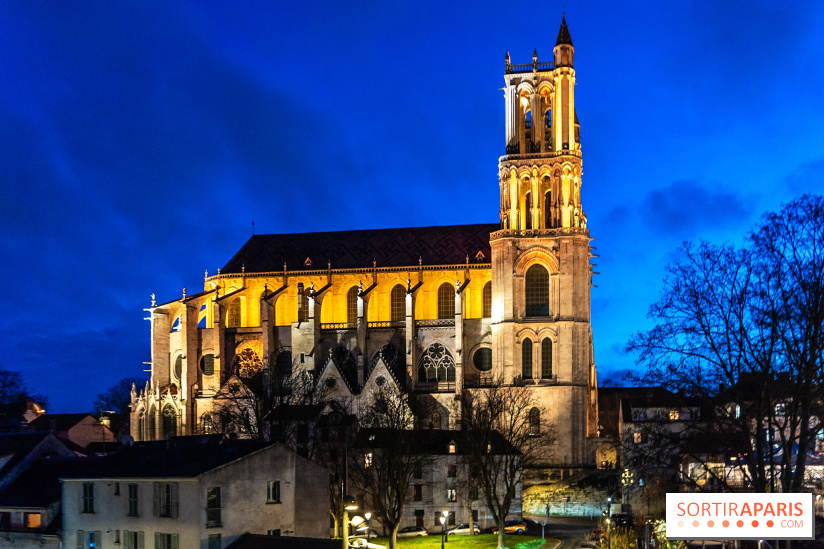 Lueurs de Mantes 2026, les photos du parcours lumineux gratuit des Yvelines