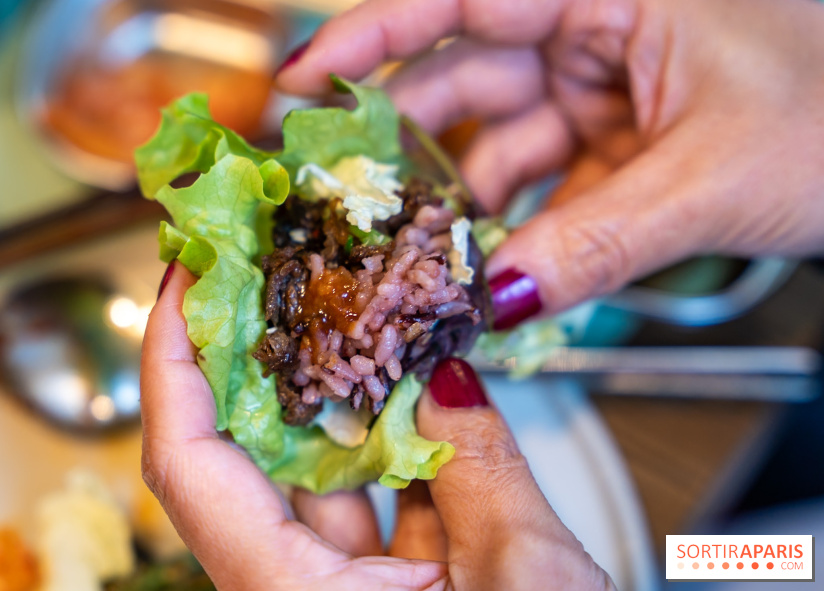 Hallyu Kitchen, le nouveau restaurant coréen Paris 9e - photos - A7C04008