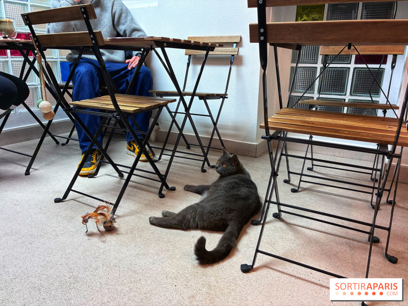 Le Chatelier - IMG 2473