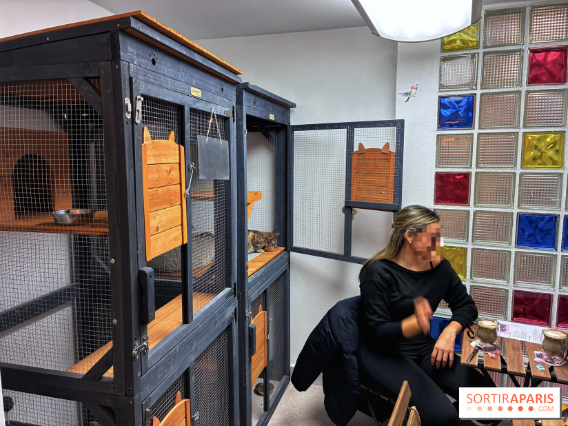 Le Chatelier - IMG 2475