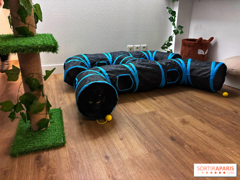 Le Chatelier - IMG 2482