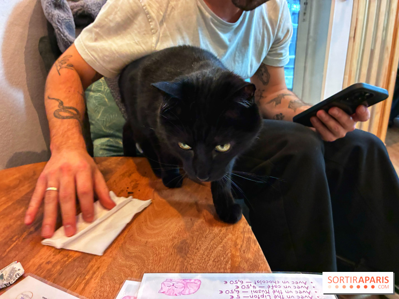 Le Chatelier - IMG 2498