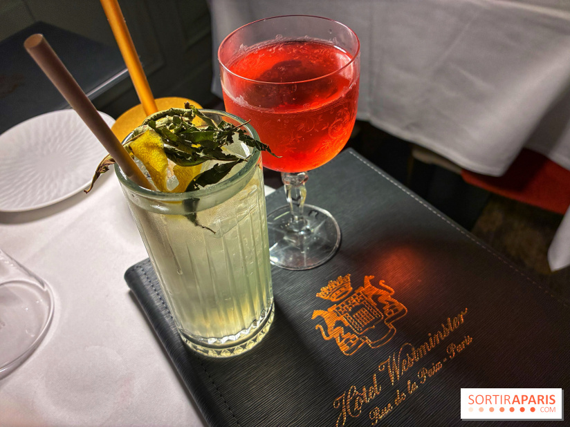 Le Céladon - IMG 2678