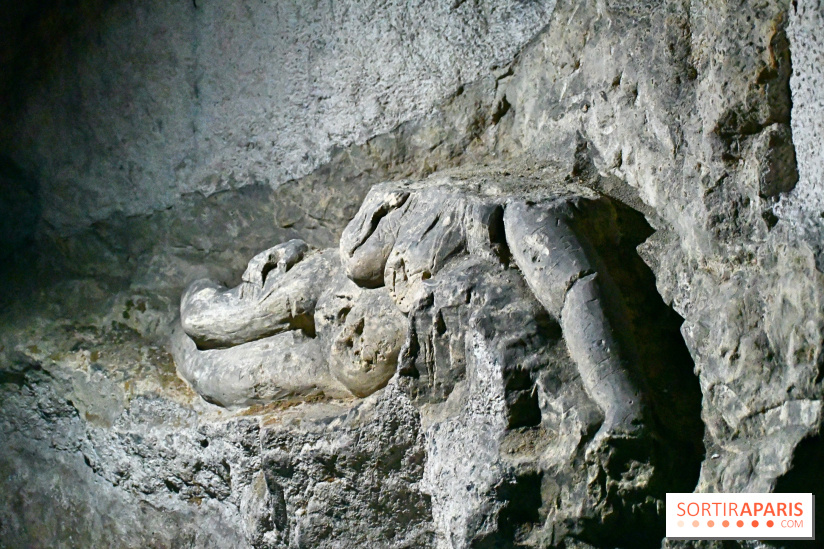 Les Caves du Roi, les mystérieux souterrains sous Sèvres - DSC 6223