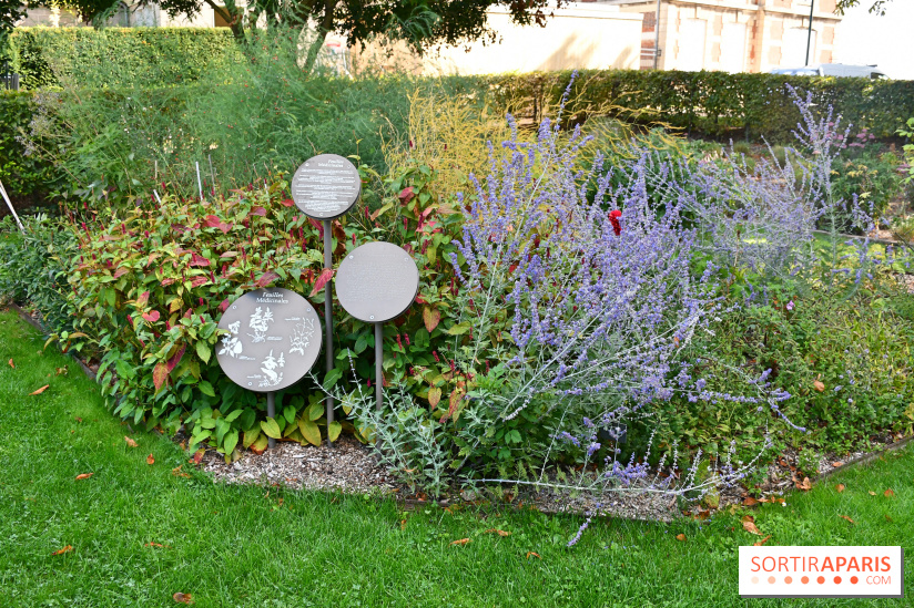 Le jardin des cinq sens à Pontoise, un lieu bucolique et sensoriel !