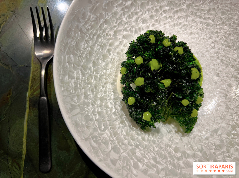 Mantra - Chou rave, kale, coco fermentée, crevettes