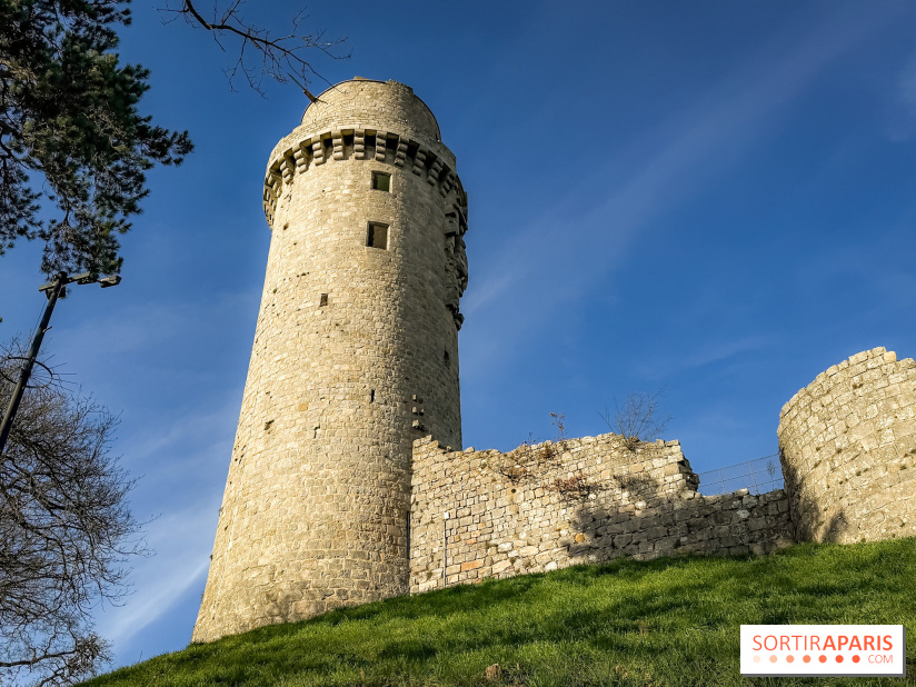 Ile-de-France : La Tour de Montlhéry au panorama unique sur l'Essonne - IMG 0592