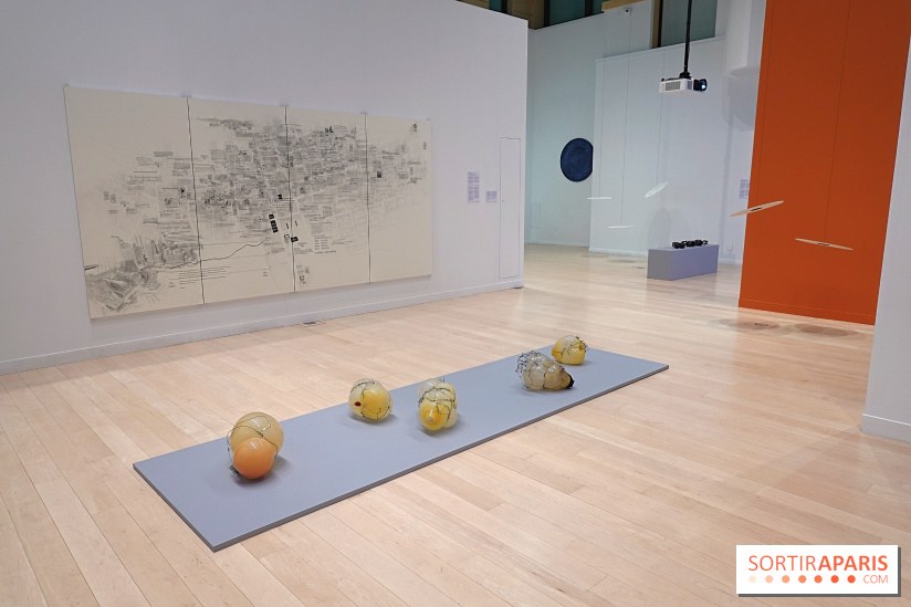 Exposition Contraste et indifférence au Centre culturel canadien - nos photos