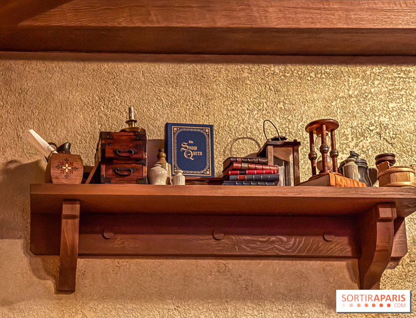 Frozen Ever After : l'attraction La Reine des Neiges à Disneyland Paris - IMG 3831